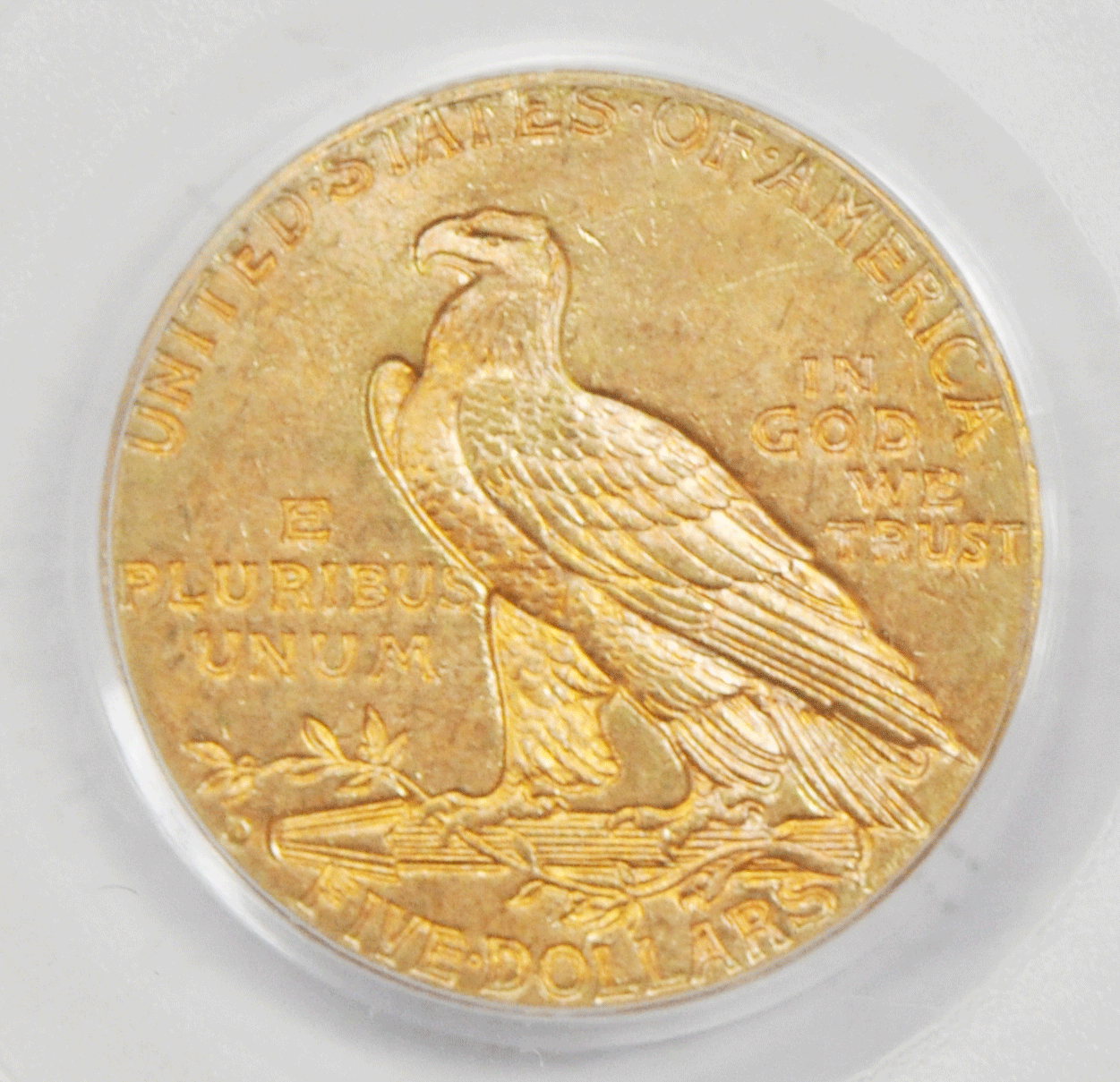 1909 D $5 Indian Head Five Dollar Gold Half Eagle Denver PCGS MS64 OGH