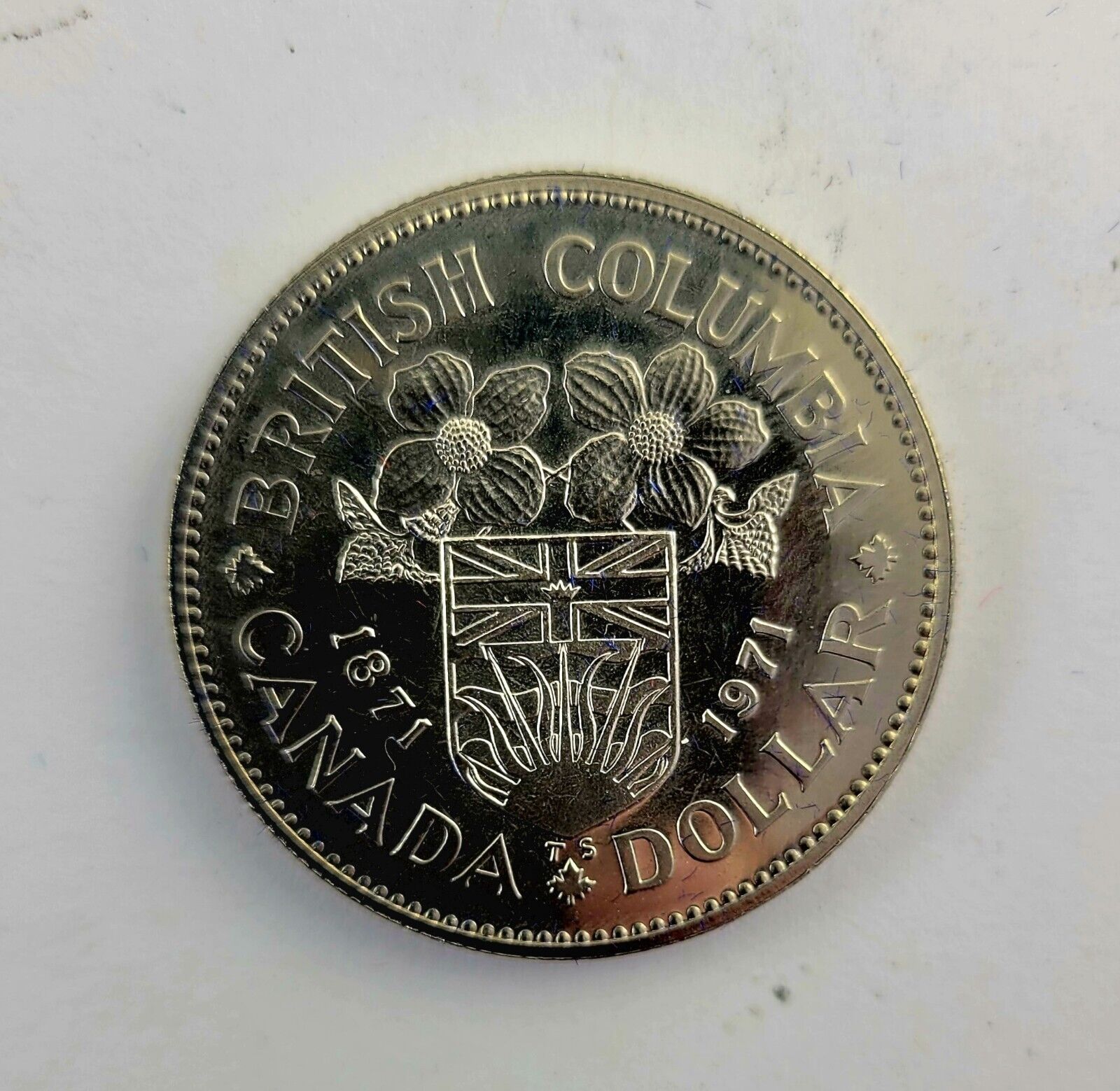 1871 Coin, Canada Coin, Commemorative, Bristish Columbia, Pure Silver, Medallion, Coin outlet Collector, Coin Collection